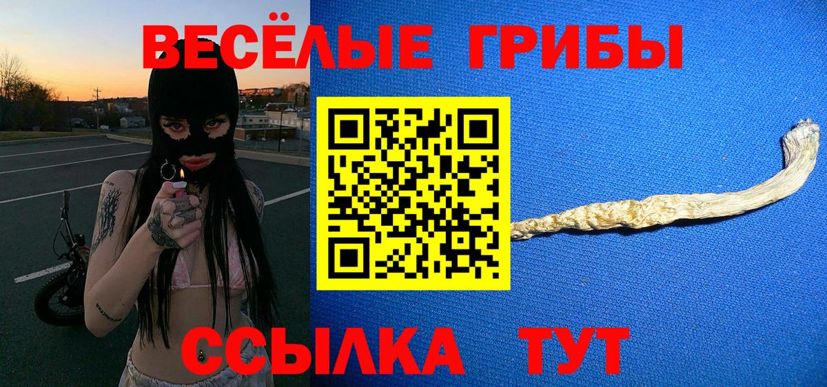 Анжеро-Судженск  Галлюциногенные грибы прущие грибы  Вход с VPN 